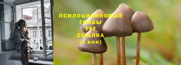 мдпв Гусиноозёрск