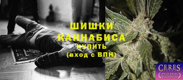 мдпв Гусиноозёрск