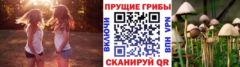 Галлюциногенные грибы мухоморы  Купить закладки  Озёрск 